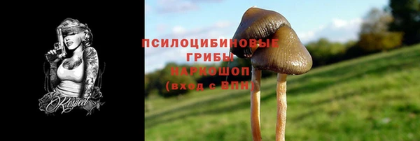 твердый Алексин