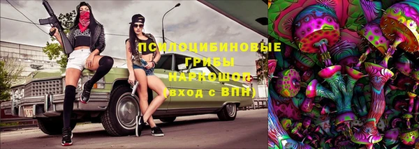 твердый Алексин
