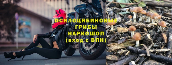 твердый Алексин