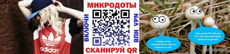 Галлюциногенные грибы Psilocybine cubensis Оса